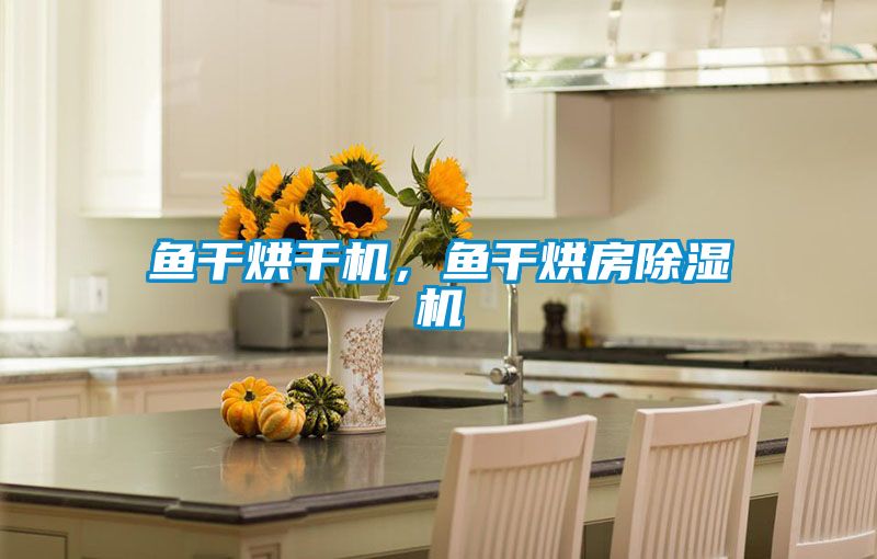 魚(yú)干烘干機(jī)，魚(yú)干烘房除濕機(jī)