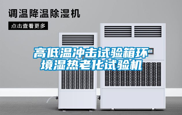 高低溫沖擊試驗箱環(huán)境濕熱老化試驗機