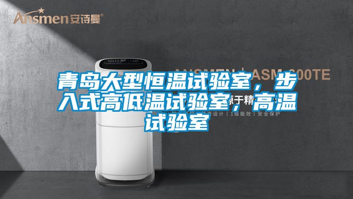 青島大型恒溫試驗室，步入式高低溫試驗室，高溫試驗室