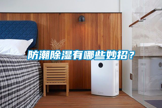 防潮除濕有哪些妙招？