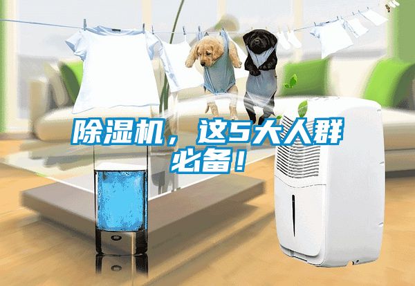 除濕機(jī)，這5大人群必備！