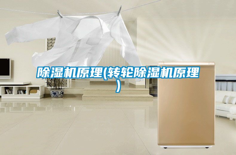 除濕機原理(轉(zhuǎn)輪除濕機原理)
