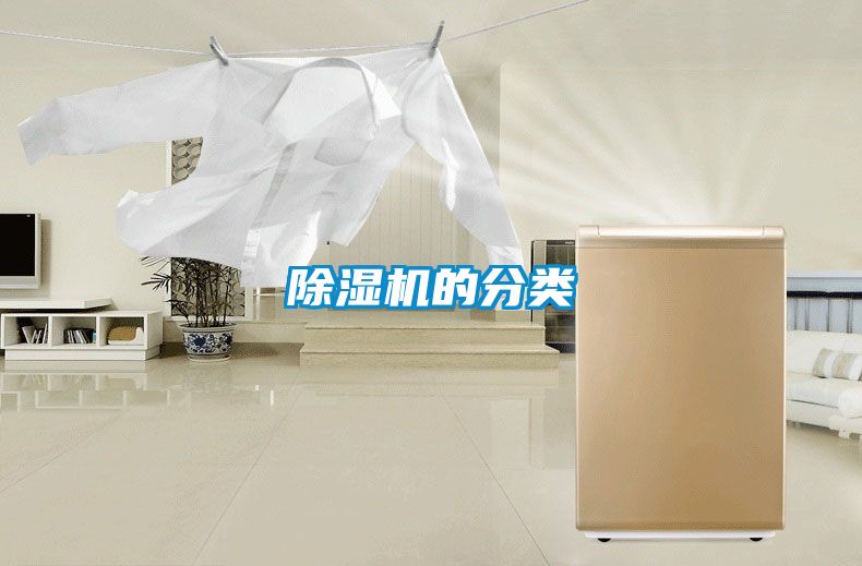 除濕機(jī)的分類