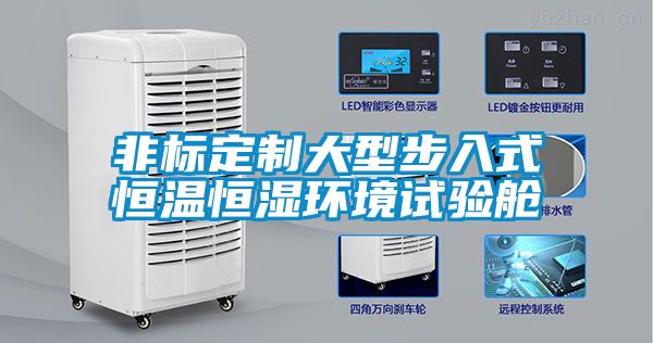 非標定制大型步入式恒溫恒濕環(huán)境試驗艙