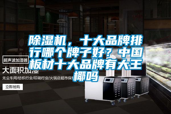 除濕機(jī)，十大品牌排行哪個牌子好？中國板材十大品牌有大王椰嗎