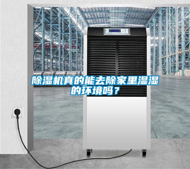 除濕機(jī)真的能去除家里濕濕的環(huán)境嗎？