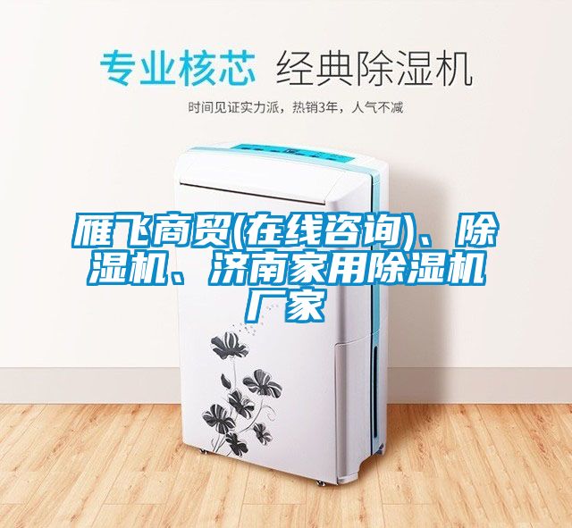 雁飛商貿(mào)(在線咨詢)、除濕機(jī)、濟(jì)南家用除濕機(jī)廠家