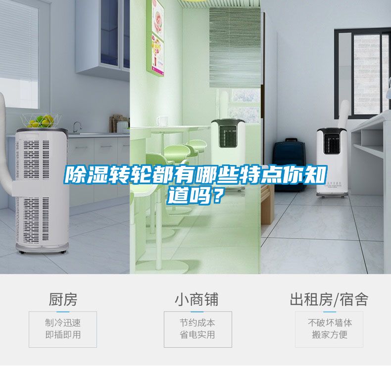 除濕轉(zhuǎn)輪都有哪些特點(diǎn)你知道嗎？