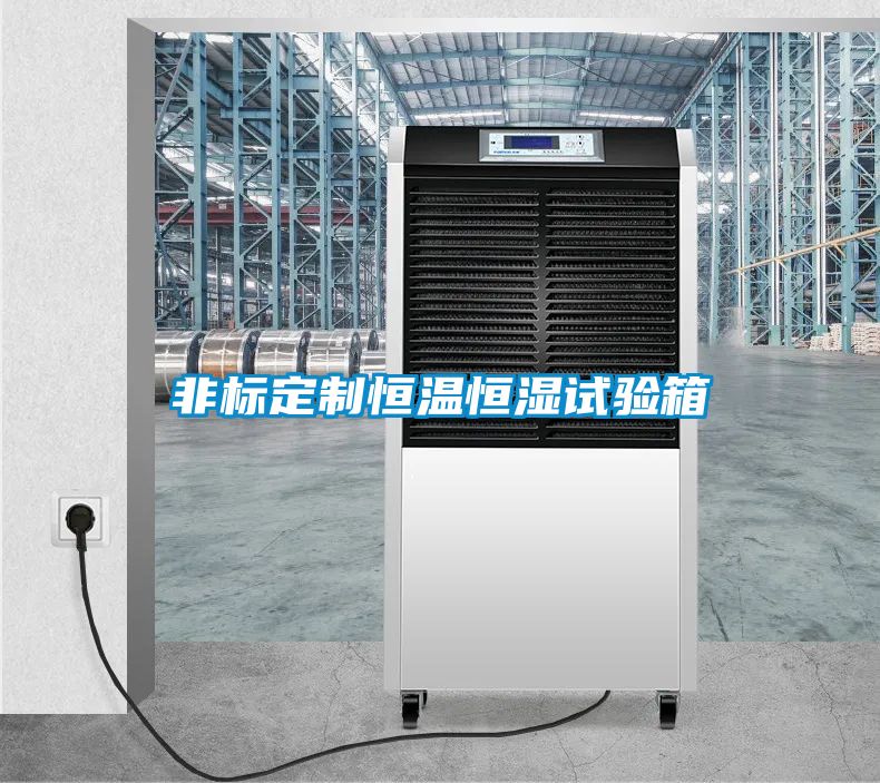 非標(biāo)定制恒溫恒濕試驗箱