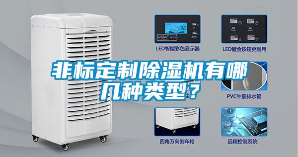 非標(biāo)定制除濕機(jī)有哪幾種類型？