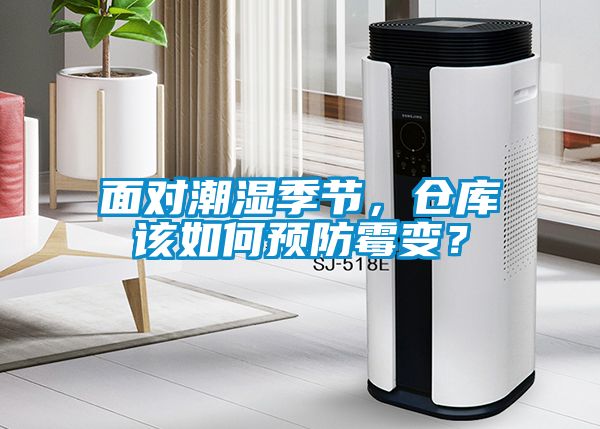 面對潮濕季節(jié)，倉庫該如何預(yù)防霉變？