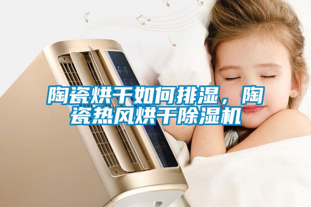 陶瓷烘干如何排濕，陶瓷熱風(fēng)烘干除濕機(jī)