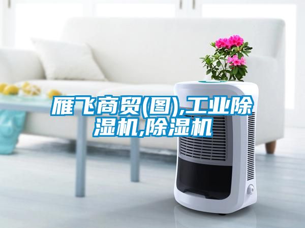 雁飛商貿(mào)(圖),工業(yè)除濕機(jī),除濕機(jī)