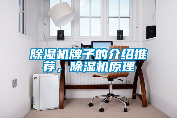 除濕機牌子的介紹推薦，除濕機原理