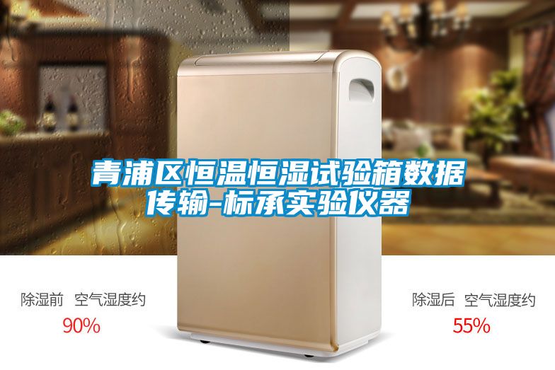 青浦區(qū)恒溫恒濕試驗箱數(shù)據(jù)傳輸-標承實驗儀器