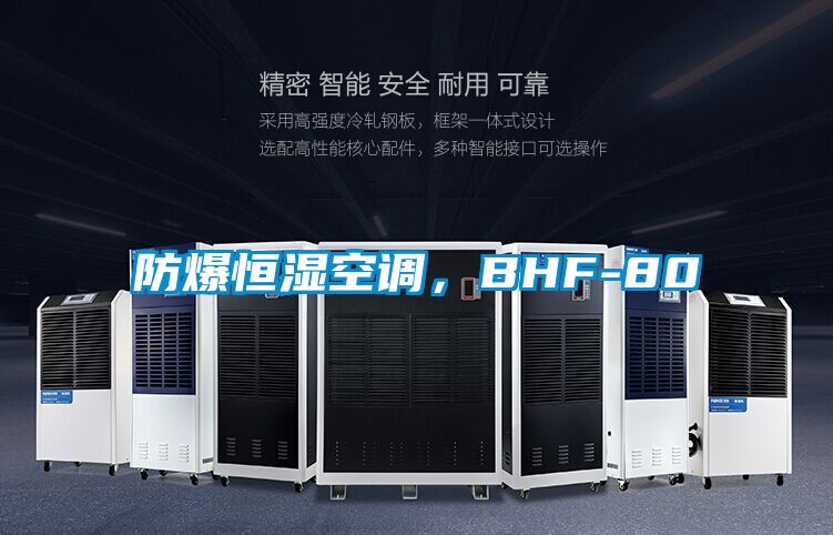 防爆恒濕空調(diào)，BHF-80