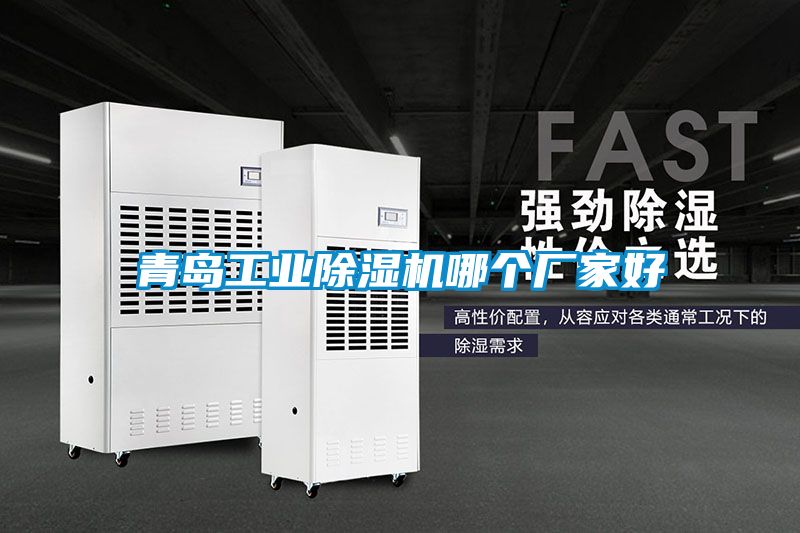 青島工業(yè)除濕機哪個廠家好
