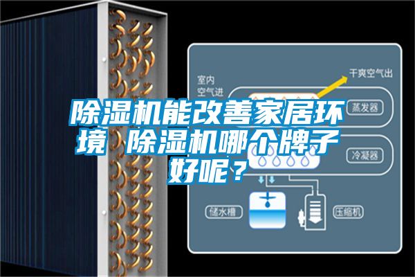 除濕機能改善家居環(huán)境 除濕機哪個牌子好呢？