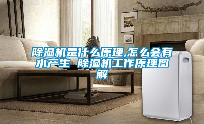 除濕機是什么原理,怎么會有水產生 除濕機工作原理圖解