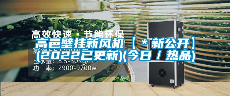 高邑壁掛新風(fēng)機【＊新公開】(2022已更新)(今日／熱品)