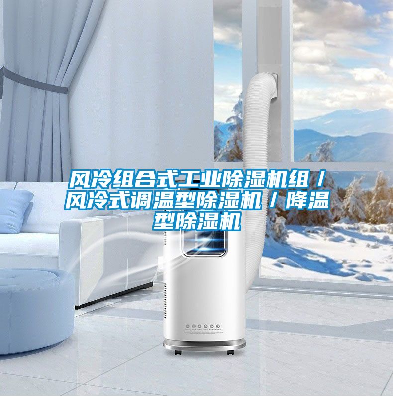 風冷組合式工業(yè)除濕機組／風冷式調溫型除濕機／降溫型除濕機