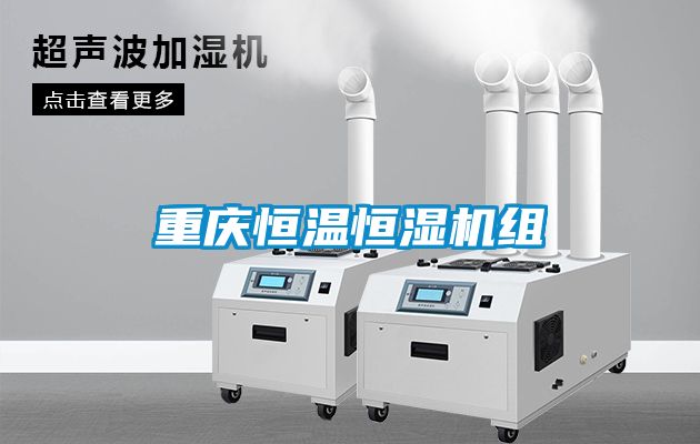 重慶恒溫恒濕機組
