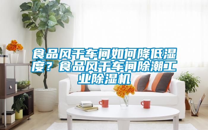 食品風(fēng)干車間如何降低濕度？食品風(fēng)干車間除潮工業(yè)除濕機(jī)