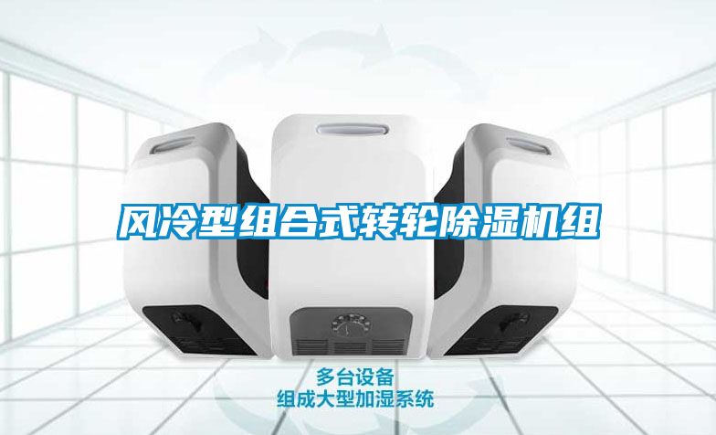 風冷型組合式轉輪除濕機組