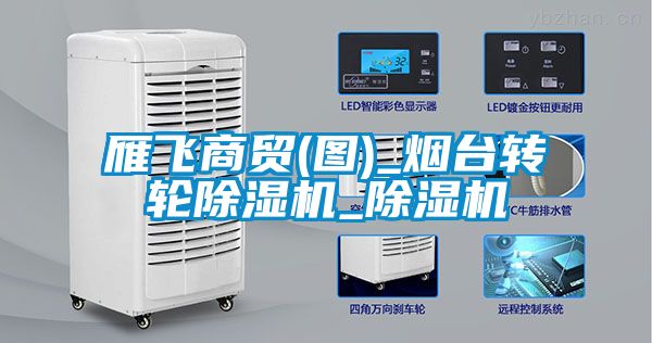 雁飛商貿(mào)(圖)_煙臺轉(zhuǎn)輪除濕機(jī)_除濕機(jī)