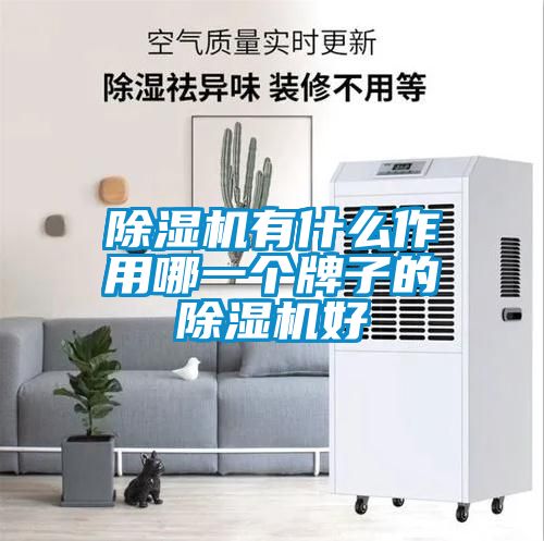 除濕機(jī)有什么作用哪一個牌子的除濕機(jī)好