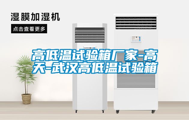 高低溫試驗箱廠家-高天-武漢高低溫試驗箱