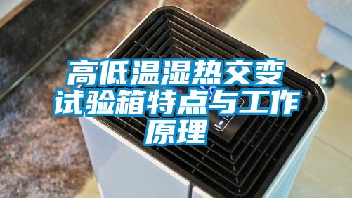 高低溫濕熱交變試驗(yàn)箱特點(diǎn)與工作原理
