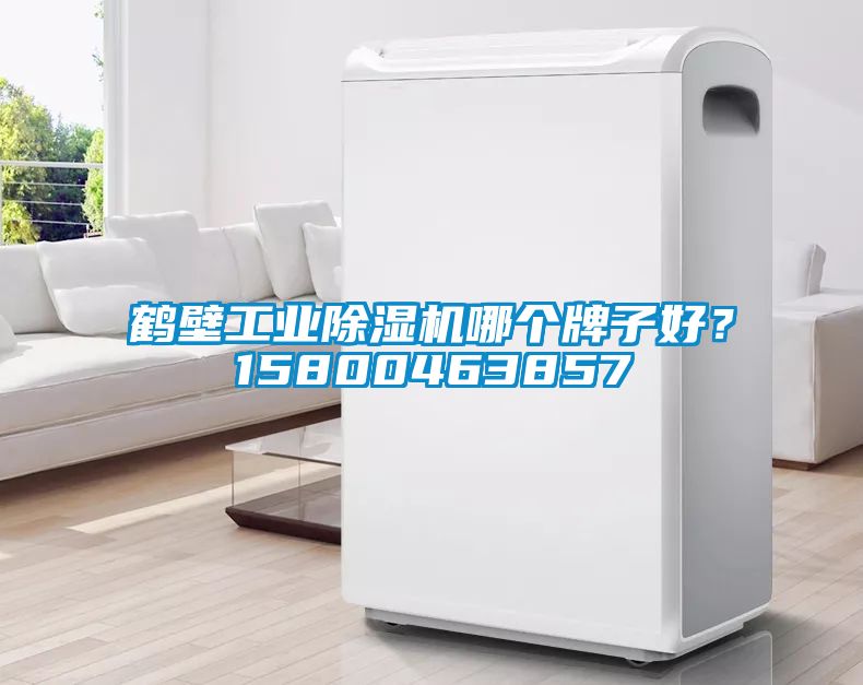 鶴壁工業(yè)除濕機(jī)哪個(gè)牌子好？15800463857