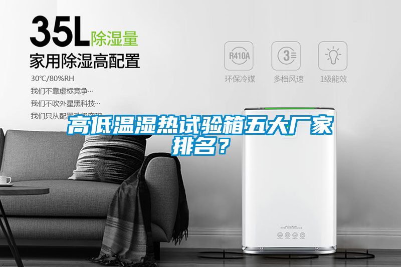 高低溫濕熱試驗箱五大廠家排名？