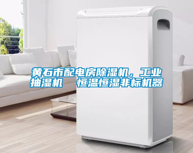 黃石市配電房除濕機，工業(yè)抽濕機  恒溫恒濕非標機器