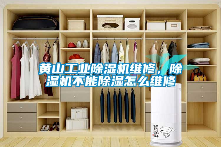 黃山工業(yè)除濕機(jī)維修，除濕機(jī)不能除濕怎么維修