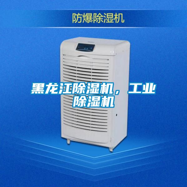 黑龍江除濕機，工業(yè)除濕機