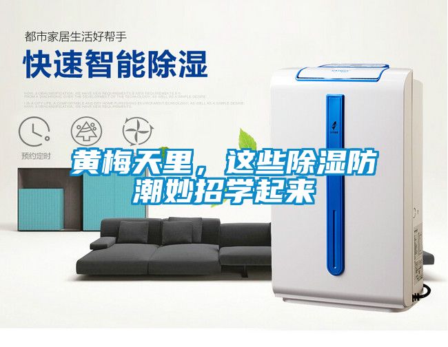 黃梅天里，這些除濕防潮妙招學(xué)起來(lái)