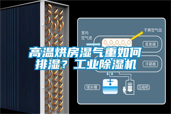 高溫烘房濕氣重如何排濕？工業(yè)除濕機(jī)