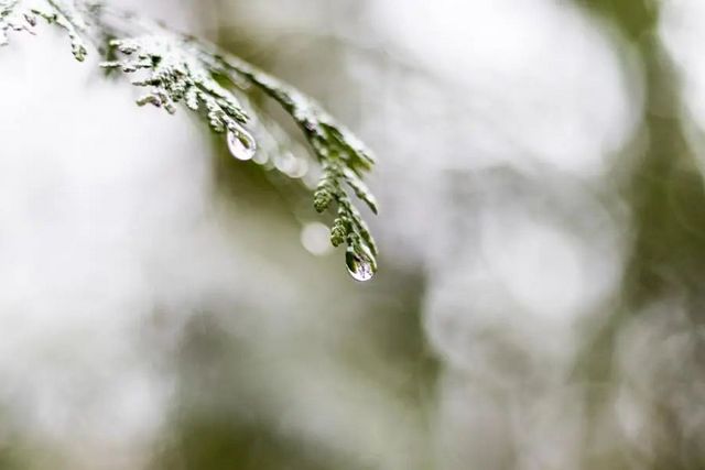 空氣濕度大帶來的危害有哪些，你知道嗎？