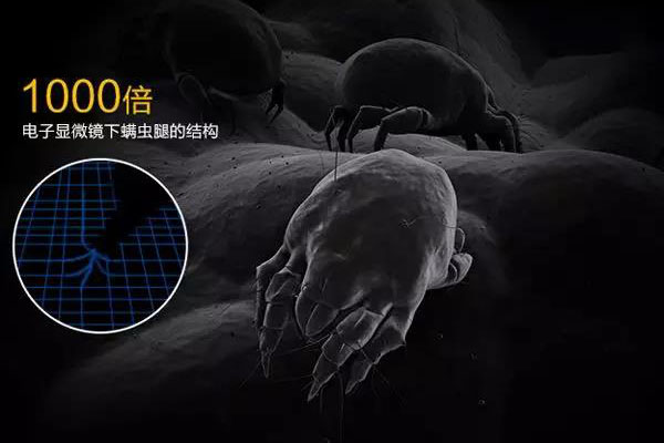 螨蟲(chóng)高發(fā)季，家用除濕機(jī)除螨有妙計(jì)！