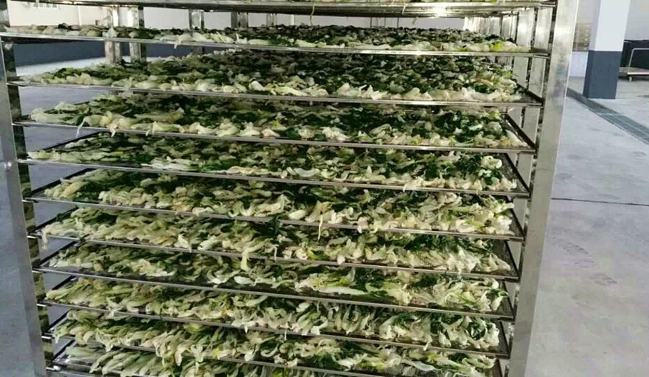 菜干需求一直都很大，蔬菜烘干機(jī)很有市場(chǎng)