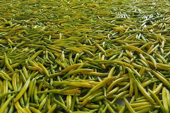 無硫金針菜烘干如何保持品相？不發(fā)黑？