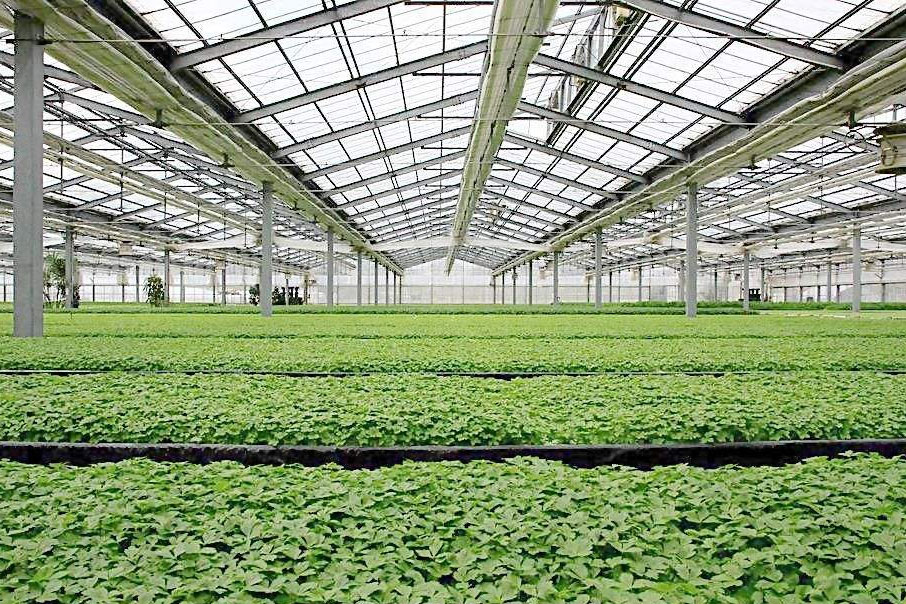 除濕器如何解決高濕度、多種危害的溫室除濕問題？